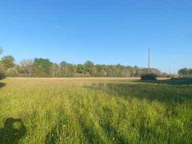 Maison a vendre Château-la-Vallière 37330 Indre-et-Loire 45 m2 2 pièces 63532 euros