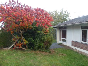 Maison a vendre Brionne 27800 Eure 82 m2 3 pièces 115500 euros