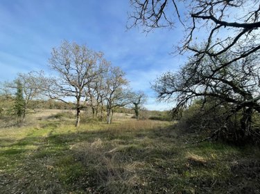 Terrains de loisirs bois etangs a vendre Assier 46320 Lot 87240 m2  23000 euros