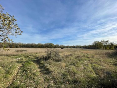 Terrains de loisirs bois etangs a vendre Assier 46320 Lot 87240 m2  33000 euros