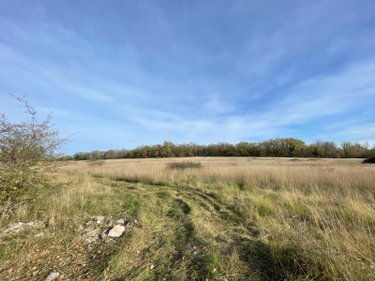 Terrains de loisirs bois etangs a vendre Assier 46320 Lot 87240 m2  23000 euros