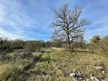 Terrains de loisirs bois etangs a vendre Assier 46320 Lot 87240 m2  33000 euros