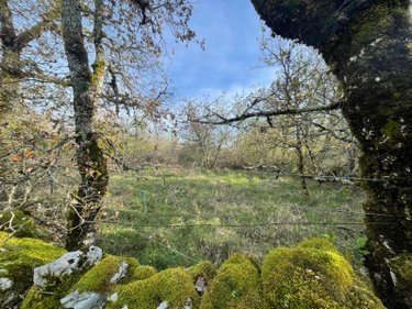 Terrains de loisirs bois etangs a vendre Assier 46320 Lot 87240 m2  33000 euros