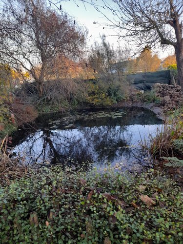 Maison a vendre Val-de-Scie 76720 Seine-Maritime 103 m2 5 pièces 259600 euros