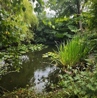 Maison a vendre Val-de-Scie 76720 Seine-Maritime 103 m2 5 pièces 259600 euros