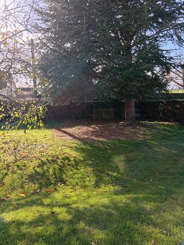 Location maison Grand-Bourgtheroulde 27520 Eure 73 m2 3 pièces 1100 euros