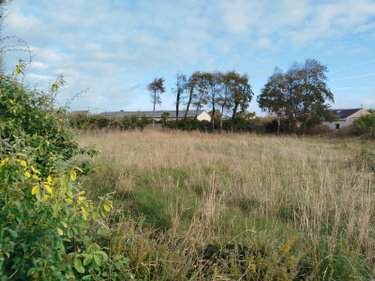 Terrains de loisirs bois etangs a vendre Plouguerneau 29880 Finistère 1997 m2  15000 euros