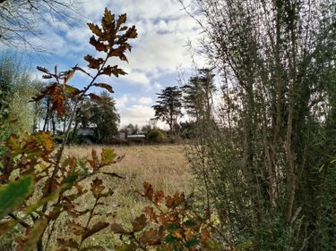 Terrains de loisirs bois etangs a vendre Plouguerneau 29880 Finistère 1997 m2  15000 euros