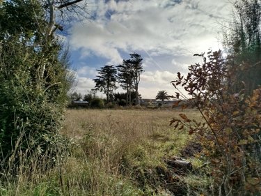 Terrains de loisirs bois etangs a vendre Plouguerneau 29880 Finistère 1997 m2  15000 euros