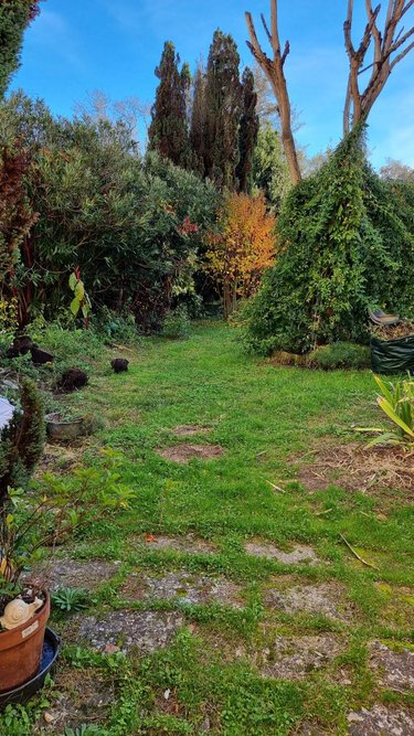 Immeuble a vendre Jonzac 17500 Charente-Maritime 184 m2  341250 euros