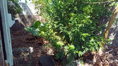 Maison a vendre Saint-Benoît 97470 Réunion 70 m2 3 pièces 88000 euros