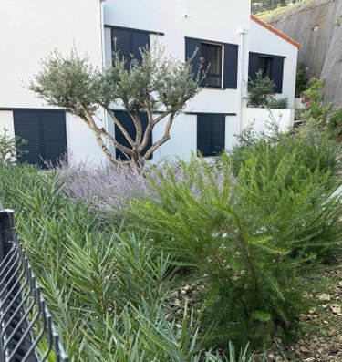 Appartement a vendre Collioure 66190 Pyrénées-Orientales 76 m2 3 pièces 450450 euros