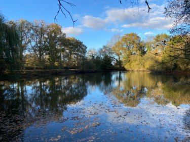 Terrains de loisirs bois etangs a vendre Venansault 85190 Vendée 11966 m2  43000 euros