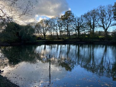 Terrains de loisirs bois etangs a vendre Venansault 85190 Vendée 11966 m2  43000 euros
