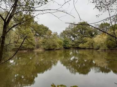 Terrains de loisirs bois etangs a vendre Venansault 85190 Vendée 11966 m2  43000 euros