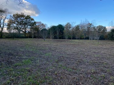 Terrains de loisirs bois etangs a vendre Venansault 85190 Vendée 11966 m2  43000 euros