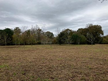 Terrains de loisirs bois etangs a vendre Venansault 85190 Vendée 11966 m2  43000 euros