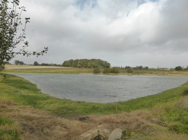 Bien agricole a vendre Saint-Blancard 32140 Gers 350 m2  985800 euros