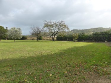 Bien agricole a vendre Saint-Blancard 32140 Gers 350 m2  985800 euros