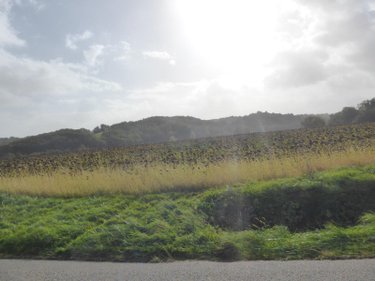 Bien agricole a vendre Saint-Blancard 32140 Gers 350 m2  985800 euros