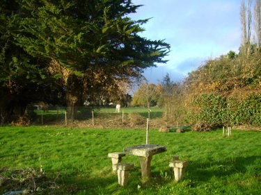 Terrain a batir a vendre La Vicomté-sur-Rance 22690 Côtes-d'Armor 423 m2  74200 euros