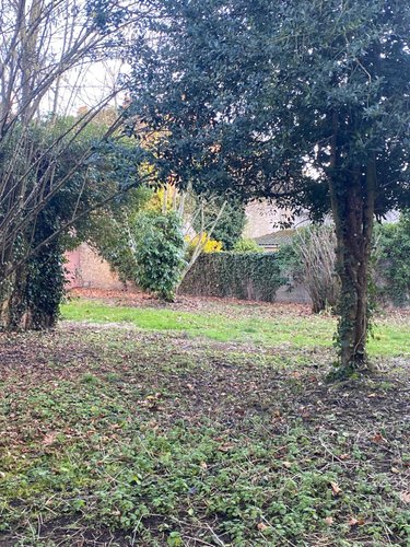 Maison a vendre Paray-le-Monial 71600 Saône-et-Loire 104 m2  367400 euros