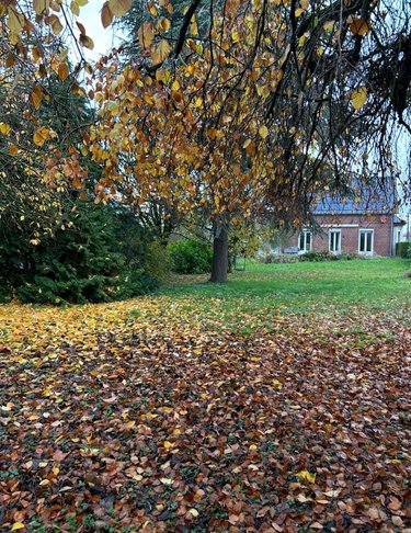 Maison a vendre Brie 80200 Somme 187 m2 8 pièces 169600 euros