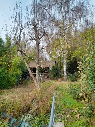 Location maison Le Mans 72000 Sarthe 80 m2 3 pièces 890 euros