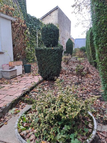 Maison a vendre Berlaimont 59145 Nord 110 m2 7 pièces 127500 euros