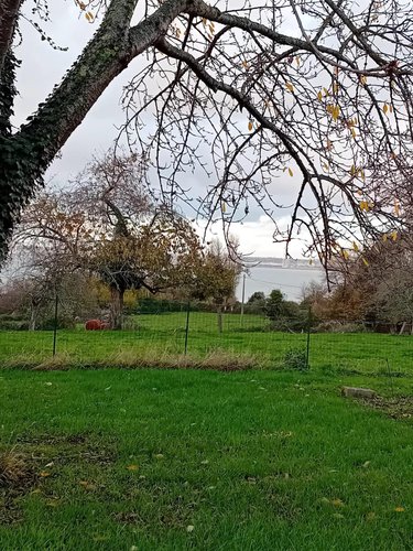 Maison a vendre Pennedepie 14600 Calvados 124 m2 6 pièces 999740 euros