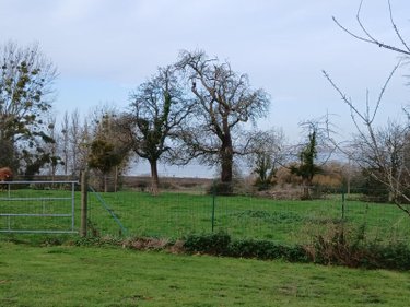 Maison a vendre Pennedepie 14600 Calvados 124 m2 6 pièces 999740 euros