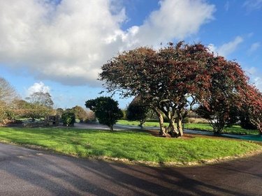 Maison a vendre Plouguerneau 29880 Finistère 191 m2 8 pièces 519200 euros