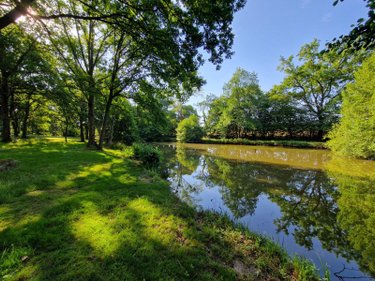 Maison a vendre Paray-le-Monial 71600 Saône-et-Loire 300 m2 14 pièces 598000 euros