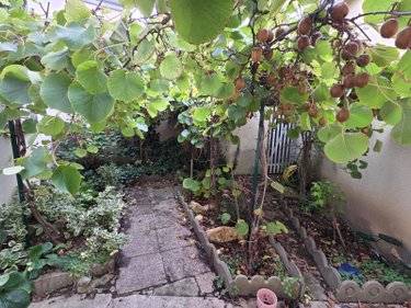 Immeuble a vendre Reims 51100 Marne  515000 euros