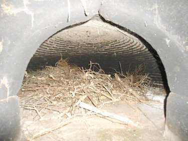 propriete a vendre Monceaux-sur-Dordogne 19400 Corrèze 150 m2 7 pièces 207372 euros