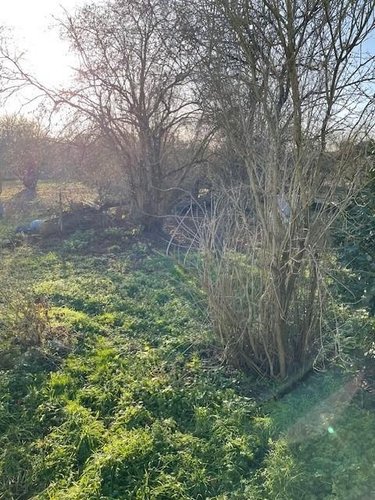 Maison a vendre Beautor 02800 Aisne 60 m2 2 pièces 57500 euros