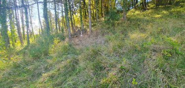 Terrain a batir a vendre Malause 82200 Tarn-et-Garonne 1033 m2  29000 euros