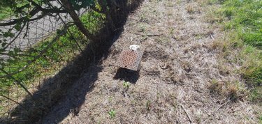 Terrain a batir a vendre Malause 82200 Tarn-et-Garonne 901 m2  29000 euros