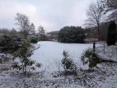 Maison a vendre Daigny 08140 Ardennes 315 m2 8 pièces 292000 euros