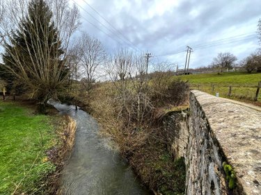 Maison a vendre Nogent 52800 Haute-Marne 272 m2 9 pièces 116600 euros