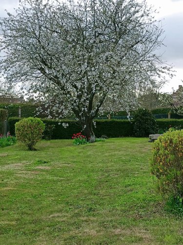Maison a vendre Fresnay-sur-Sarthe 72130 Sarthe 101 m2 5 pièces 139125 euros