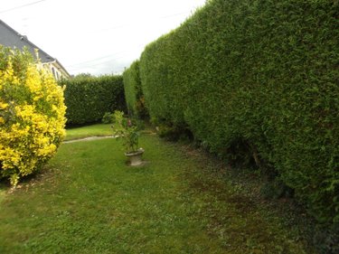 Maison a vendre Lanvallay 22100 Côtes-d'Armor 110 m2 4 pièces 269360 euros