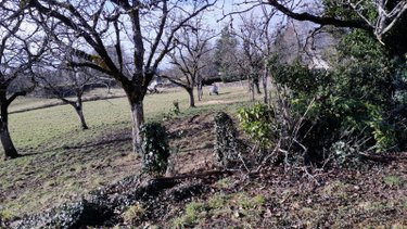 propriete a vendre Neuville 19380 Corrèze 65 m2 3 pièces 124972 euros