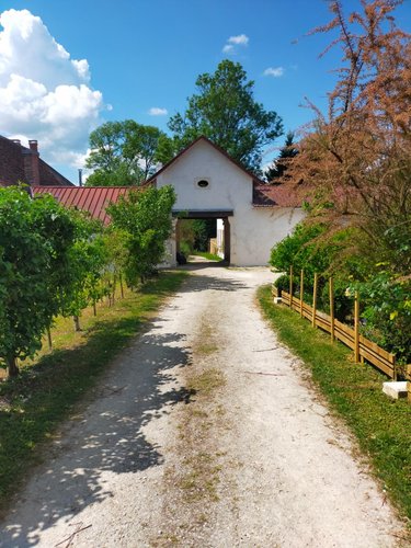 Maison a vendre Toucy 89130 Yonne 172 m2 5 pièces 277500 euros