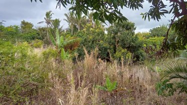 Maison a vendre Saint-Benoît 97470 Réunion 70 m2 4 pièces 210000 euros