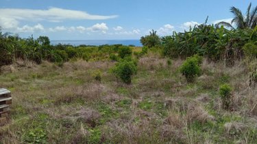 Maison a vendre Saint-Benoît 97470 Réunion 70 m2 4 pièces 210000 euros