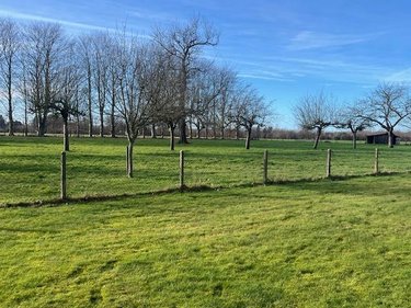 Maison a vendre Équemauville 14600 Calvados 137 m2 5 pièces 777000 euros