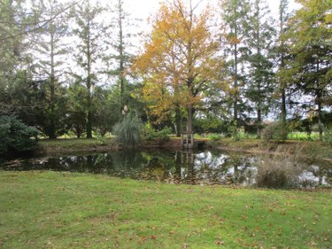 Viager propriete Romorantin-Lanthenay 41200 Loir-et-Cher