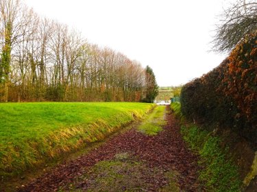 Maison a vendre Bretoncelles 61110 Orne  98580 euros