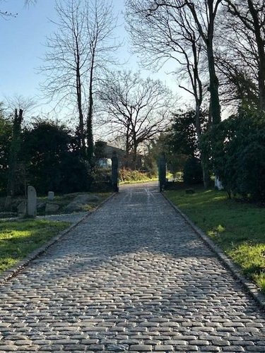 propriete a vendre Bourbriac 22390 Côtes-d'Armor 264 m2 5 pièces 781980 euros